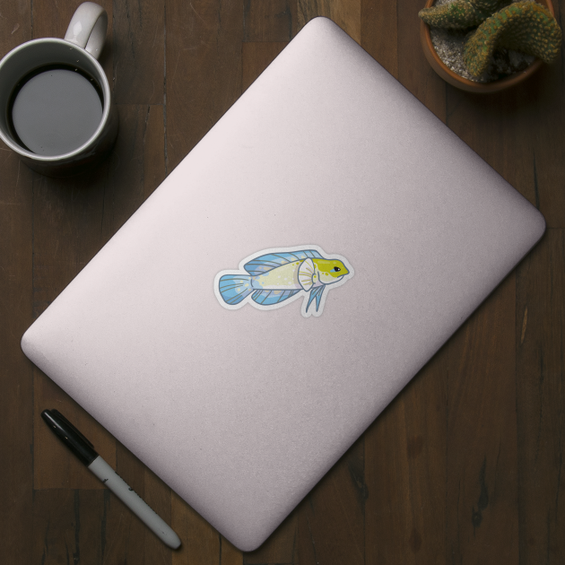 Yellowhead Jawfish by bytesizetreasure